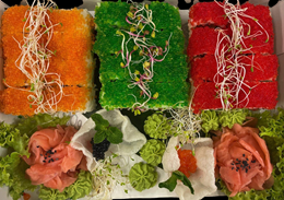 4. California 24 szt.